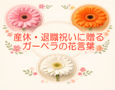 産休・退職祝いに贈るガーベラの花言葉｜「ありがとう」が伝わる色と本数の選び方